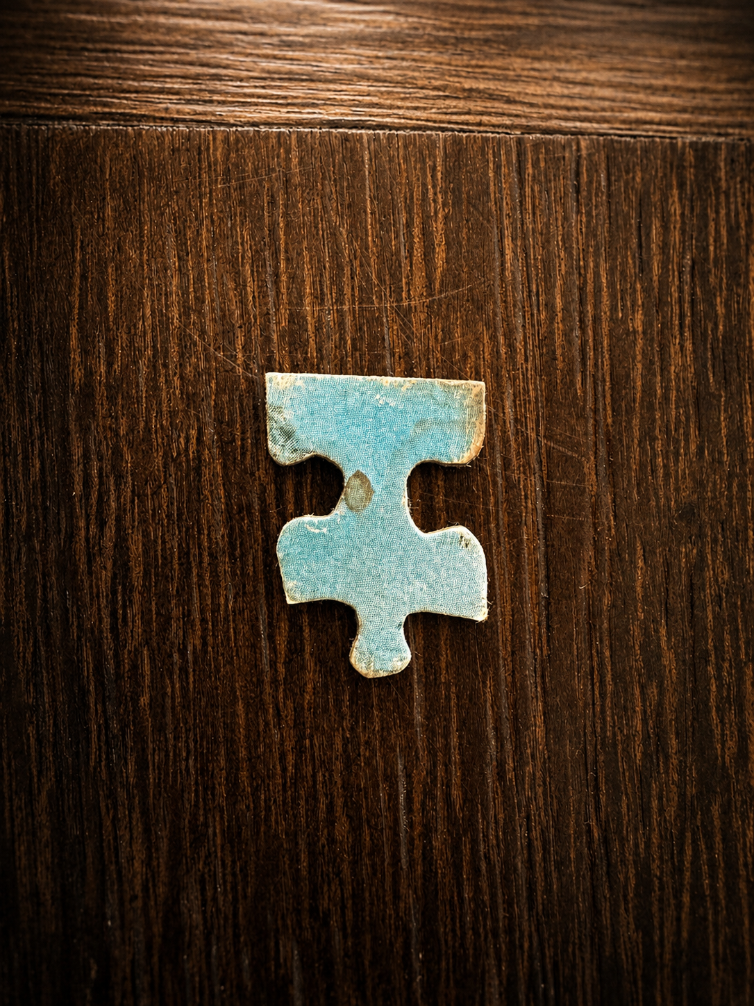 A single puzzle piece